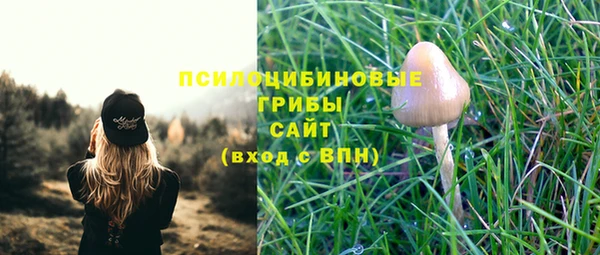 apvp Волосово
